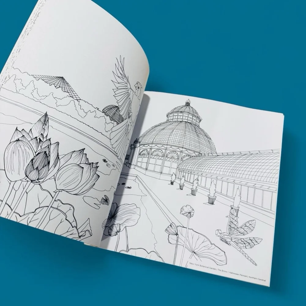 Wildlife of New York: A Five-Borough Coloring Book by Giada Crispieles